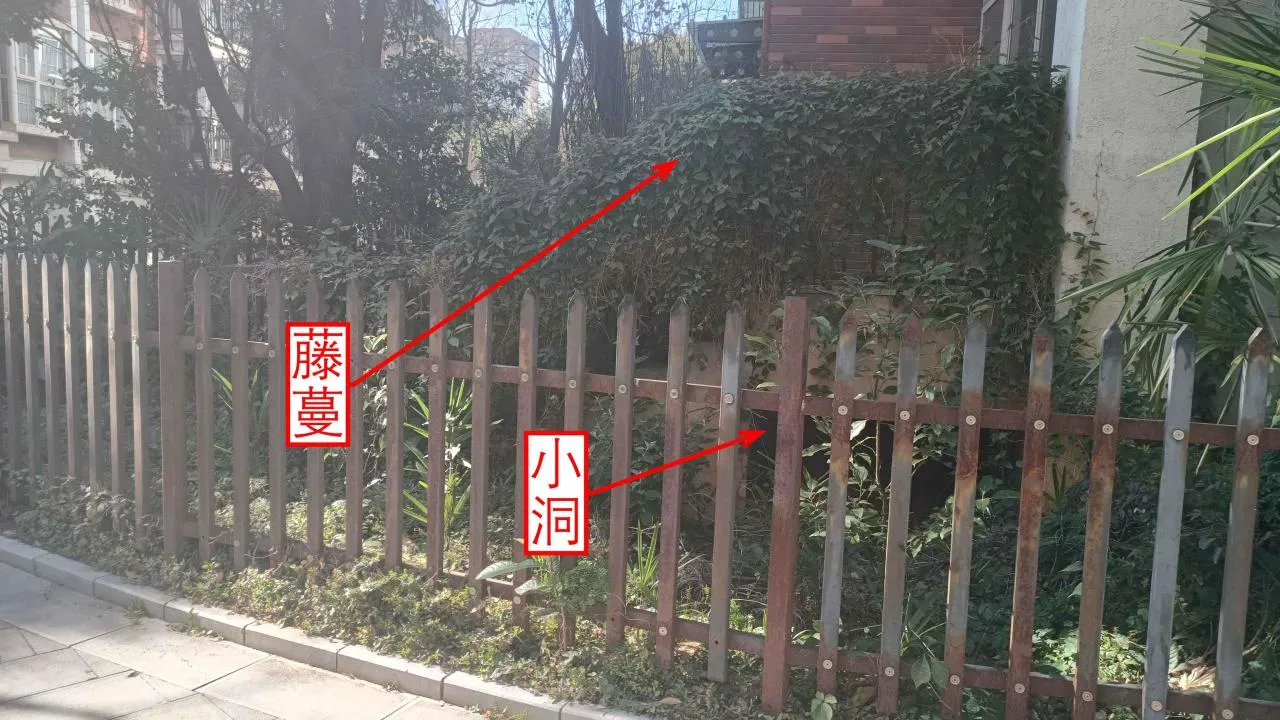 记忆宫殿实践~高中单词300+