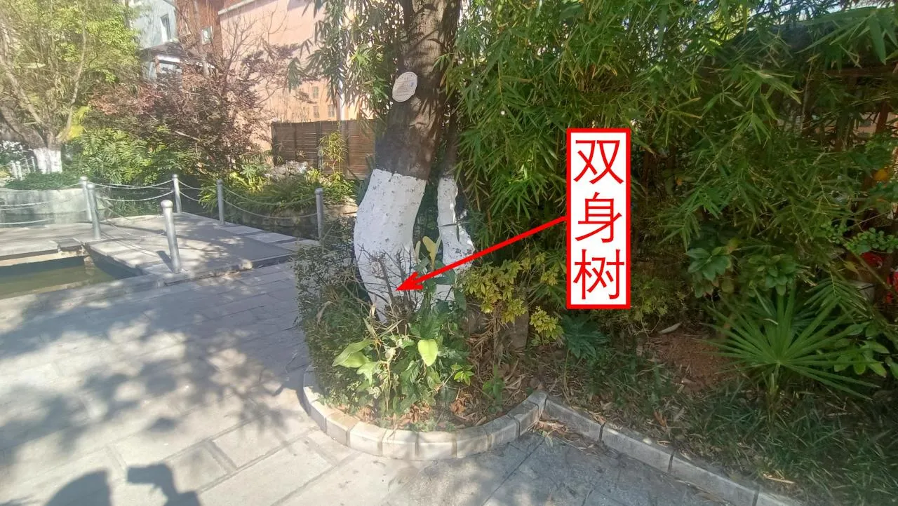 记忆宫殿实践~高中单词300+