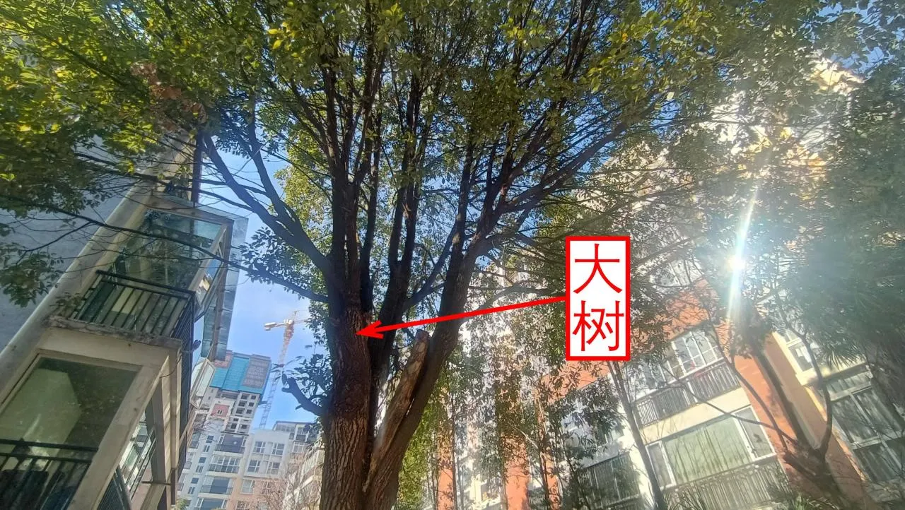 记忆宫殿实践~高中单词300+