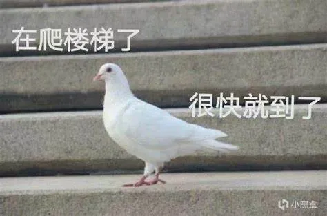 一个Flag倒下去，无数个Flag立起来！