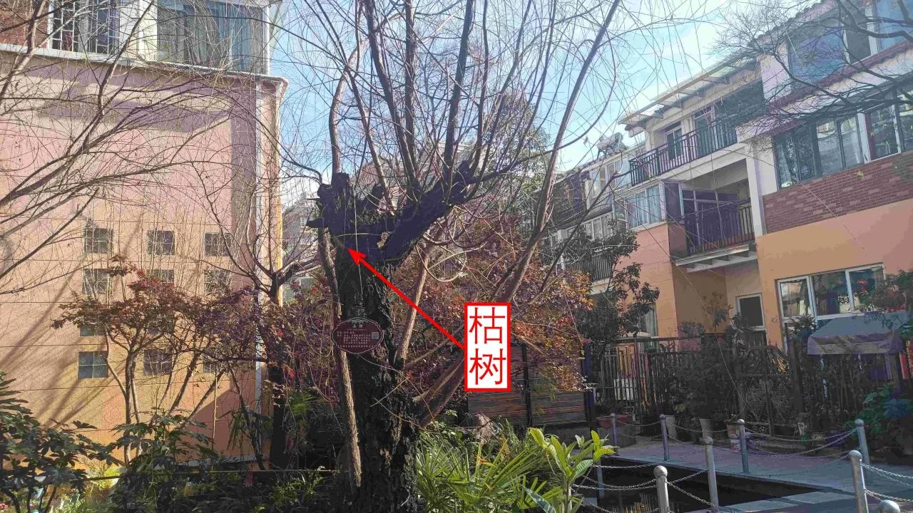 记忆宫殿实践~高中单词300+