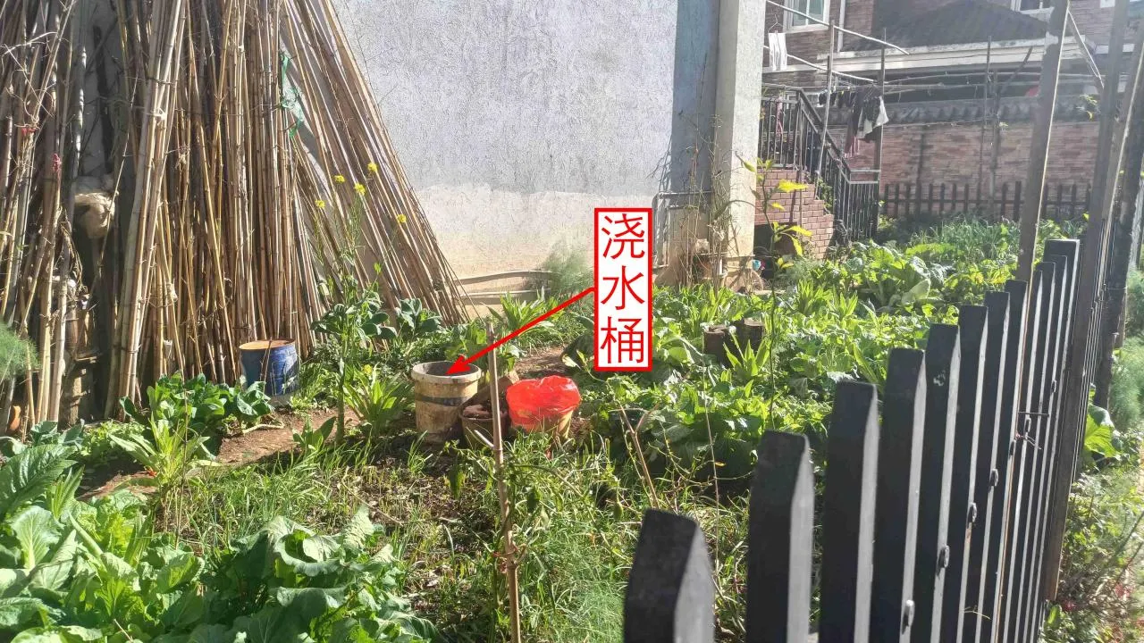 记忆宫殿实践~高中单词300+