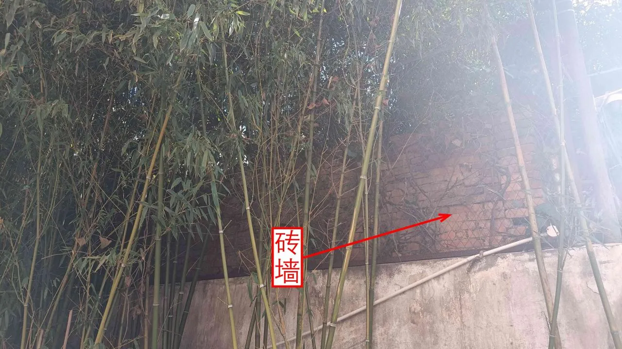 记忆宫殿实践~高中单词300+