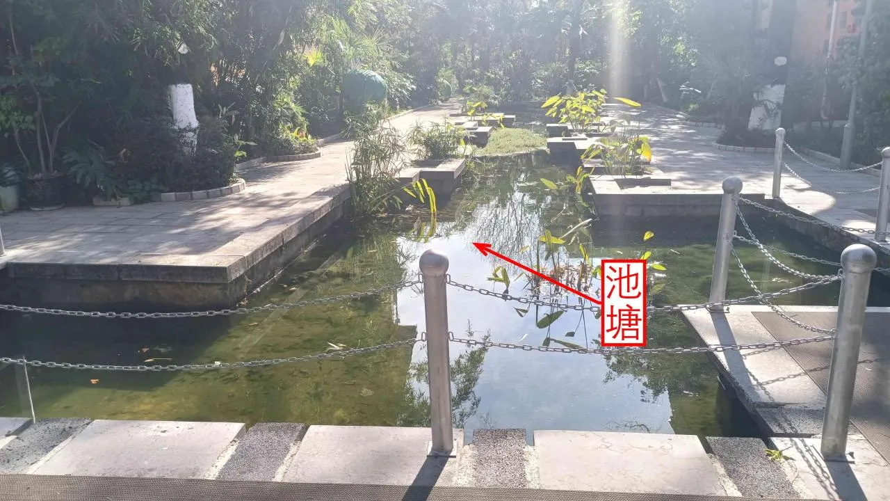 记忆宫殿实践~高中单词300+