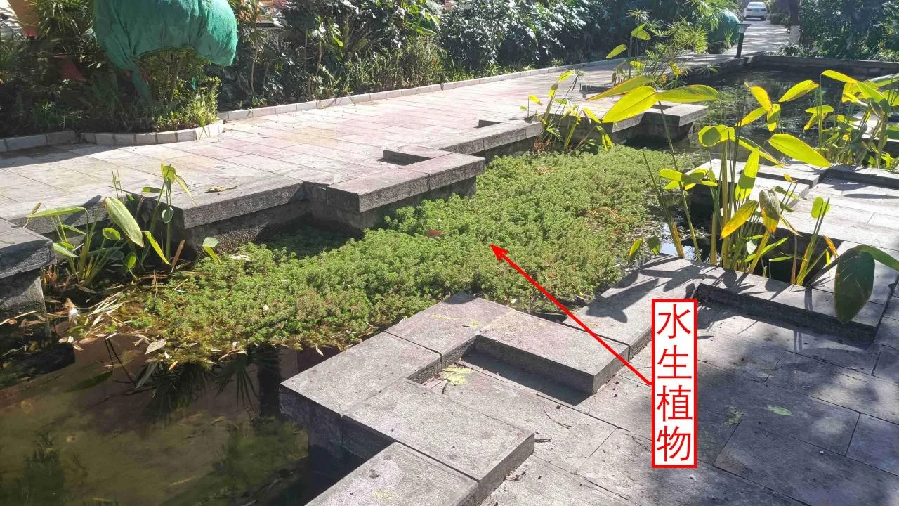记忆宫殿实践~高中单词300+