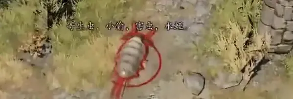 为什么拉瑞安在2017年不是年度最佳？