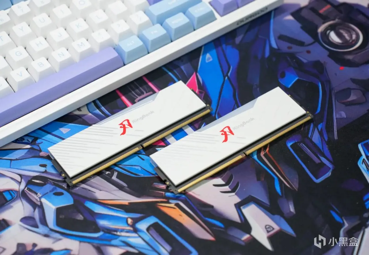 新一代M-Die颗粒加持，单条24GB容量——金百达白刃DDR5装机实测